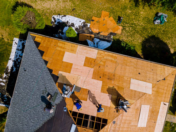 Best Roof Leak Repair  in Prairie City, IA