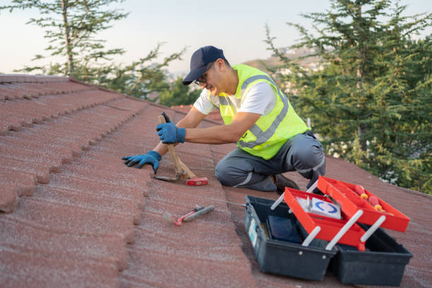 Best Flat Roof Repair Services  in Prairie City, IA