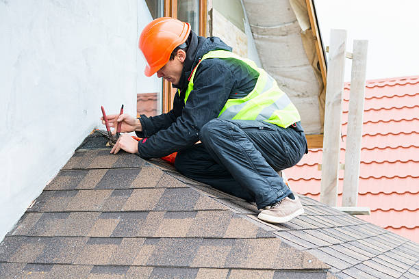 Best Roof Gutter Cleaning  in Prairie City, IA