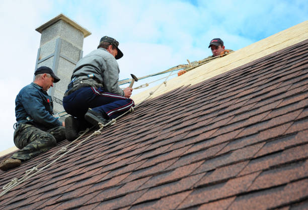 Best Local Roofing Companies  in Prairie City, IA